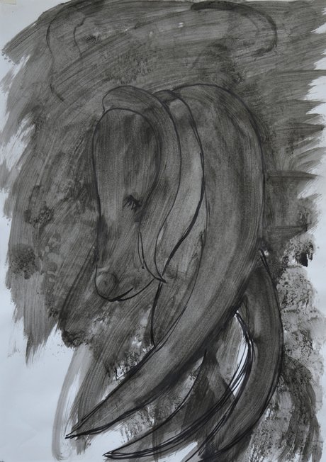 Emma Woffenden: Wall of Drawings, 2015. Horse Face With Long Mane.